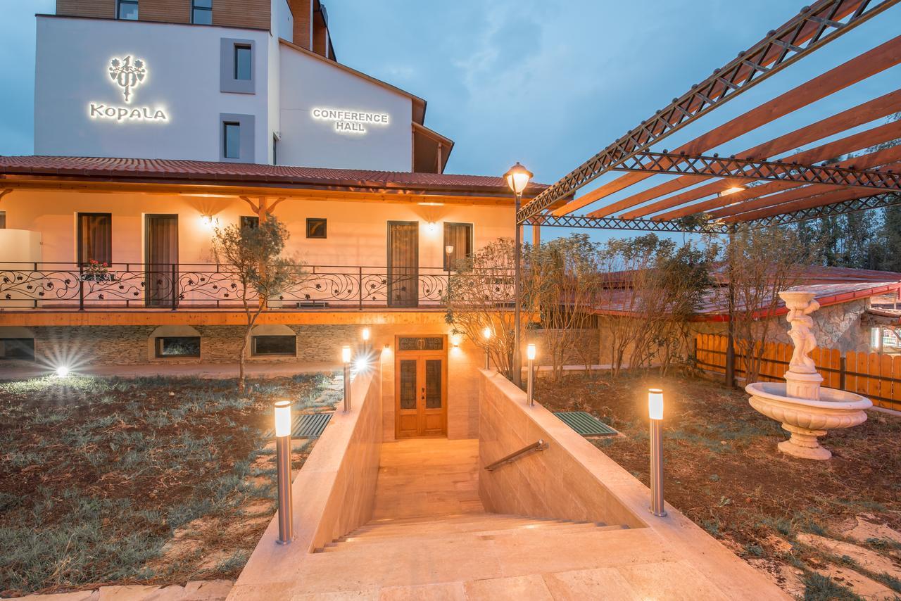 Kopala Tskneti Hotel Tsqnet'i Экстерьер фото